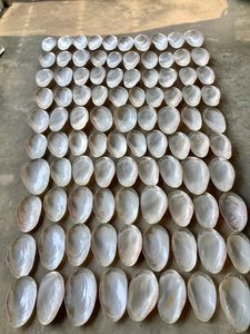 เครื่องประดับเปลือกหอยธรรมชาติ - จานเสิร์ฟเปลือกหอยมุกสีชมพู: ถาดวินเทจขอบเงิน - Product Image 5