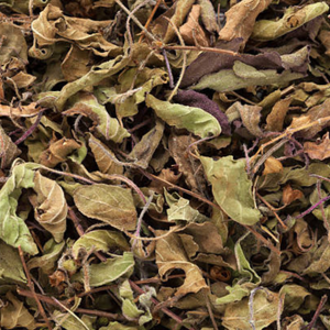 Feuilles et graines de basilic sacré séchées naturelles pour les entreprises de tisanes, les fabricants alimentaires et les importateurs en gros - Product Image 5