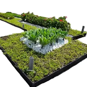 Caixa De Plantador De Vegetais Plantador De Jardim Plástico