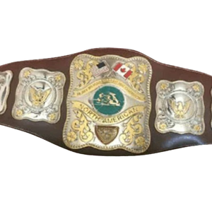 Cinturón de Campeonato de Lucha Libre Norteamericana, Trofeo Personalizado de Alta Calidad para Coleccionistas - Product Image 5