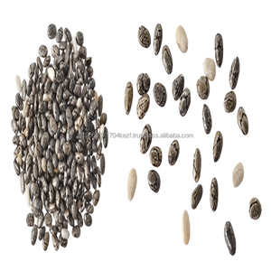 Graines de chia indiennes noires et blanches de qualité supérieure 100% nettoyées, séchées et emballées pour la vente en gros, parfaites pour les aliments sains - Product Image 1