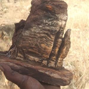 Piedras Naturales Modernas, Guijarros y Callosas para Paisajismo y Decoración de Ríos, Jardines, Hogares, Hoteles, Viveros y Uso Industrial - Product Image 3