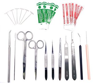 Kit d'anatomie manuel en acier inoxydable, ensemble d'instruments de dissection avec certification CE pour les laboratoires des facultés de médecine - Product Image 2