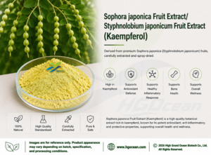 Hgo สารสกัดจากผลไม้โซโฟราจาโปนิกา/สารสกัดจากผลไม้ (เกรดอาหาร) ดินขาว50%-98% - Product Image 2