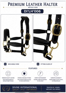 Harnais en cuir de qualité export pour chevaux avec surpiqûres contrastées élégantes, taille et emballage personnalisés de Divine International - Product Image 5