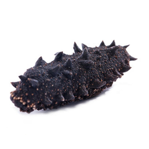 Compradores de pepino de mar, pepino de mar seco - Product Image 3