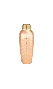 Shaker à cocktails en métal inoxydable avec passoire intégrée, couvercle anti-fuite, accessoire de bar réutilisable pour mélanger les boissons - Product Image 2