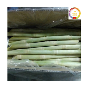 Bâtonnets de canne à sucre congelés |   IQF Pommes de mer dépelliculées naturelles et sucrées pour les jus, les restaurants de plage, export en vrac - Product Image 1