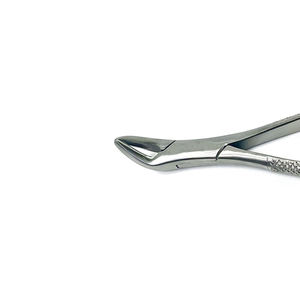 High-quality Dentavex Corporation Medical Stainless Steel Manual Dental Extracting Forceps Professional Universal Extraction - Product Image 2
