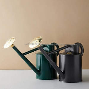 Bidon d'eau galvanisé à long bec avec poignée ergonomique pour un arrosage précis des fleurs d'intérieur et des semis délicats - Product Image 1