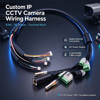 Harnais de câblage personnalisé pour caméra CCTV IP avec connecteur RJ45, prise d'alimentation CC et assemblage de câble Ethernet pour caméra CCTV