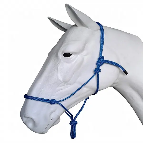 Cavezza e corde di piombo collari di alta qualità e corda di piombo forniture equestri accessori per cavalli fatti a mano