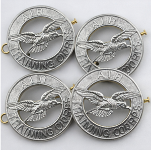 Écusson métallique Aigle du Corps de l'entraînement aérien, finition argentée, emblème pour béret, conception personnalisée - Product Image 6