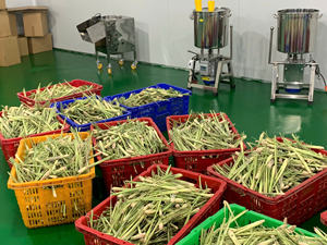 สมุนไพรตะไคร้สดสำหรับปรุงแต่งรสชาและปรุงอาหารใช้ในเวียดนาม - Product Image 6