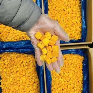 TENDANCES ACTUELLES : Chips de fruits et légumes séchés sous vide pour collation et vente en gros, croustillants, faible humidité, 2026 - Product Image 2