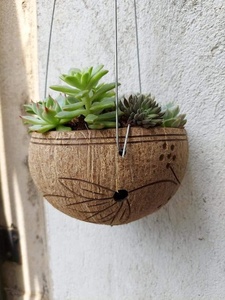 High Quality Eco-Friendly Natural Coconut <b>Shell</b> Plant Pot/Planter Pot/Hanging Plant Made in Vietnam for Home Use - Product Image 1
