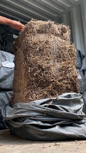 ผงเยลลี่หญ้าดำคุณภาพส่งออกจำนวนมาก เยลลี่หญ้าดำ เยลลี่หญ้าดำเวียดนาม ส่วนผสมสำหรับทำเครื่องดื่มและของหวาน - Product Image 5