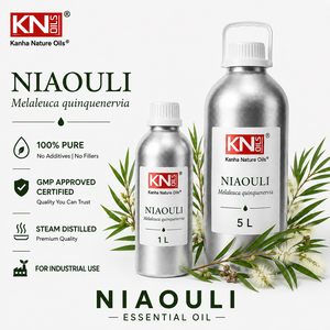 Direct Factory Supplier 100% Pure Niaouli Essential Oil Bulk Manufacturer Global Exporter Melaleuca Quinquenervia - Product Image 2