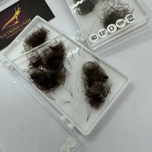 Synthetic Hair DD Crul Eyelash Extensions Brown Lash Trays 10D 20D Premade Volume Fans 0.07 D Curl Mix 7-25mm Eyelash Extensions - Product Image 2