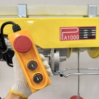 Mini-treuil électrique sans fil léger PA1000 PA500 110V-240V avec télécommande pour le commerce de détail et l'hôtellerie