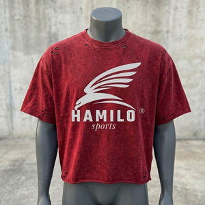 T-shirt de sport surdimensionné pour homme à faible MOQ, impression sérigraphique personnalisée du logo, 100 % coton respirant, séchage rapide, meilleur prix - Product Image 5