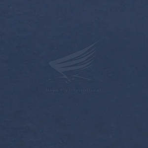 Camiseta de Alta Calidad Hecha en Pakistán, con Efecto Desgastado por el Sol, 100% Algodón, Logotipo Personalizado, Sólida, Transpirable, Ropa Casual para Venta en Línea - Product Image 6