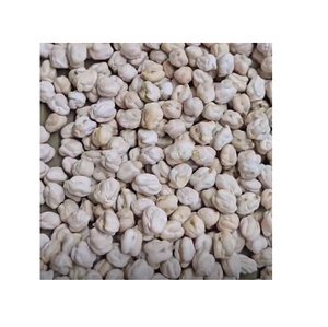 Chana Kabuli Orgánica de Primera Calidad, Seca, a Granel, Tamaño Uniforme y Audaz, Limpia, Disponible para Fabricación de Snacks a Bajo Precio - Product Image 1