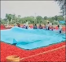 ผ้าคลุมนิรภัยสำหรับนั่งร้าน HDPE หนา 180 GSM - Product Image 5