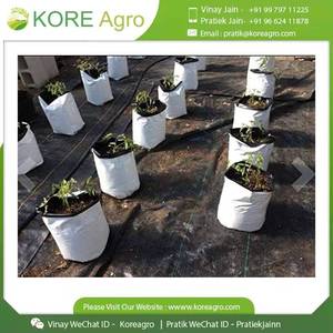 Sacs de culture en tissu en gros pour le jardinage, les légumes, les fleurs, les herbes et les semis - Product Image 2
