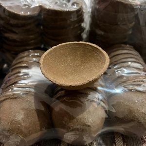Coupelles décoratives Diya en fumier de vache 100% naturel, écologiques, faites à la main, supports de lampes à huile jetables, emballage individuel, décoration d'intérieur, Diwali - Product Image 1