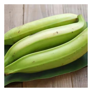 Bananes vertes Cavendish de qualité export, bananes fraîches non mûres pour la vente en gros et le commerce international - Product Image 5