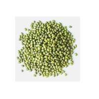 Haricot Mungo Vigna Radiata Biologique de Qualité Export, Nettoyé à la Machine, Qualité Sortex, Vente en Gros pour le Commerce International