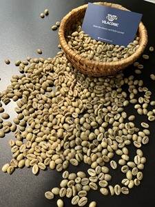 Grains de café vert ROBUSTA Premium, calibre 13-18, lavés et polis, sacs de 60 kg, prix compétitifs (Joice) - Product Image 5
