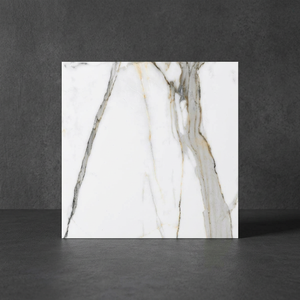 Carreaux de sol en porcelaine effet marbre brun Breccia 600x600mm polis antidérapants résistants aux acides pour les intérieurs de hall - Product Image 2