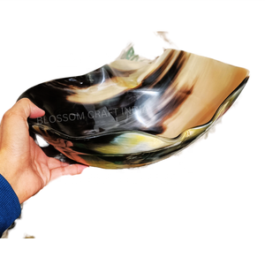 Bol de service en corne de boeuf de buffle indien de style américain Bol en corne naturelle polie en agate pour fruits Décoration intérieure Toutes tailles - Product Image 5