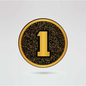 Cinturón de Campeonato de Lucha Libre Personalizado con Correa Negra, Placa Central Dorada de Cuatro Lados, Parches Numerados con Logotipo de Latón y Zinc - Product Image 4