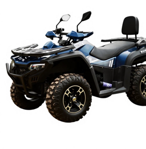 Quad 4x4 JIALING 300cc, moto tout-terrain 4WD 2WD et motos tout-terrain - Product Image 2