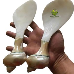 Elegant Natural Seashell <b>Spoon</b> Mother of Pearl Handmade Cutlery for Dessert Caviar <b>Coffee</b> Tea Serving - Product Image 4