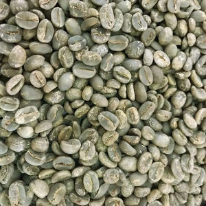 เมล็ดกาแฟโรบัสต้าออร์แกนิกจากโรงงานโดยตรง ขนาด 16  ได้รับการรับรองจาก USDA เกรด A+ บรรจุถุง 1000 กก.  แบ่งเป็นเมล็ดดำแตก 0.1% ขายส่ง - Product Image 1