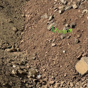 Vietgro-28% ฟอสเฟตหิน30% ราคาไม่แพง-ถุง OEM - Product Image 2