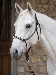 Harnais pour cheval personnalisé avec cordon de guidage, matériau PP/NYLON de qualité supérieure, harnais équestre durable pour l'entraînement et la compétition - Product Image 4