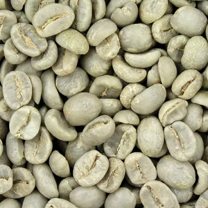 เมล็ดกาแฟอาราบิก้าเขียวคุณภาพพิเศษ 100% ธรรมชาติ ขนาด 16, ได้รับการรับรองจาก USDA, ความเสียหายและสีดำ 0.1% เท่านั้น, ผู้จัดจำหน่ายโดยตรงจากเวียดนาม - Product Image 1