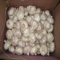 Ail frais biologique 6,0 cm, blanc pur, qualité supérieure, nouvelle récolte, Chine, emballage de 10 kg, durée de conservation de 24 mois