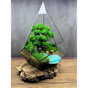 <b>Clear</b> Glass Black Metal Contemporary Handicraft Durable Framed Terrarium Planter <b>Vase</b> for Living Room Luxury Home Table Decor - Product Image 6