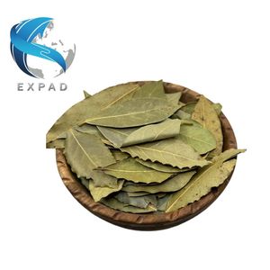 Feuilles de corossol séchées sans caféine, naturelles, pour infusions de santé à base de plantes, qualité supérieure, origine Asie du Sud-Est, approvisionnement en guanabana - Product Image 1