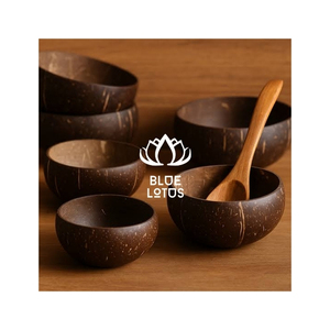 Bol en Coque de Noix de Coco Approuvé par les Clients, Vaisselle Écologique pour Servir le Riz et Présenter les Snacks, Matériaux Sûrs pour la Vente en Gros - Product Image 1