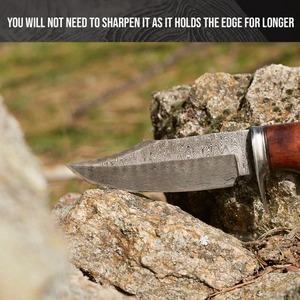 Edge Master Manufacture Handmade Damascus Steel Industrial Grade 8in Straight <b>Back</b> Skinning Knife Wood Handle OBM Customizable - Product Image 4