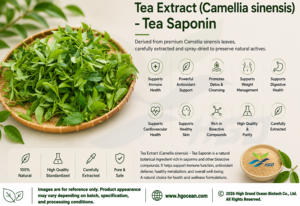 โรงงาน HGO จัดจำหน่ายสารสกัดชาบริสุทธิ์จากธรรมชาติ (Camellia sinensis) เกรดอาหาร สารสกัดชาซาโปนินมาตรฐาน 65% - Product Image 3