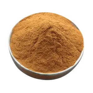 Extracto de hoja de Olivo de alta calidad CAS 32619-42-4 oleuropeína 10%-60%