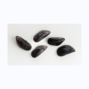 High Quality Shellfish Frozen common half Shell Mussel - Product Image 4